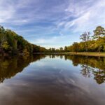 Country Park Greensboro